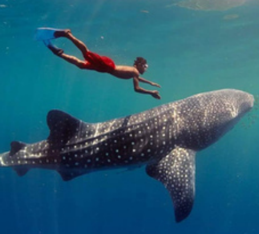 lombok to labuan bajo